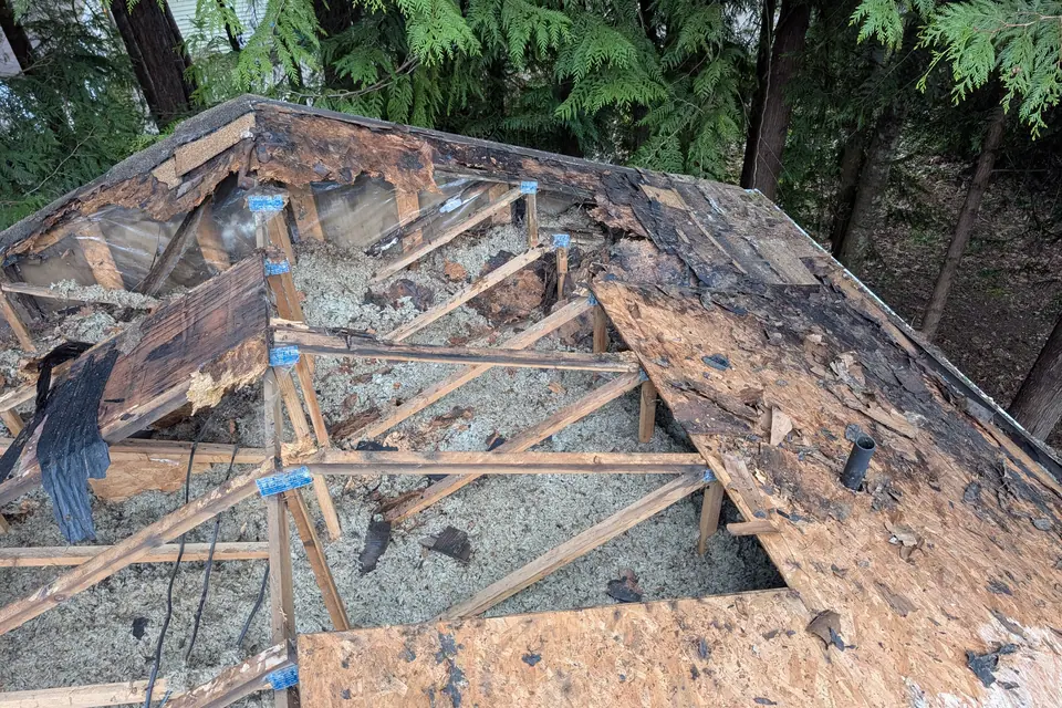 A Port Orchard roof torn back to the framing with failed sheathing removed